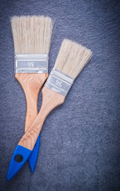 Siyah iki Boya fırçaları