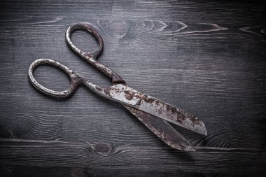 Vintage paslı makas