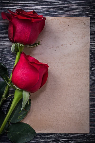 Schone papier en twee rozen — Stockfoto