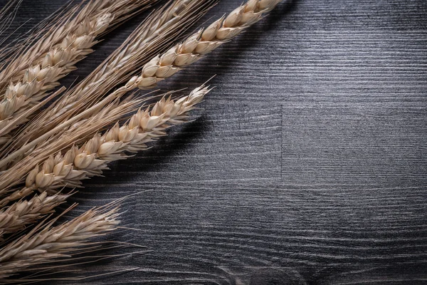 Golden wheat rye — Stock Photo, Image