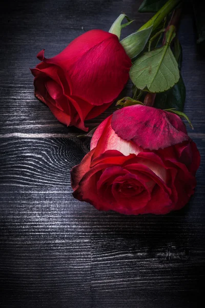 Zwei rote Rosen — Stockfoto