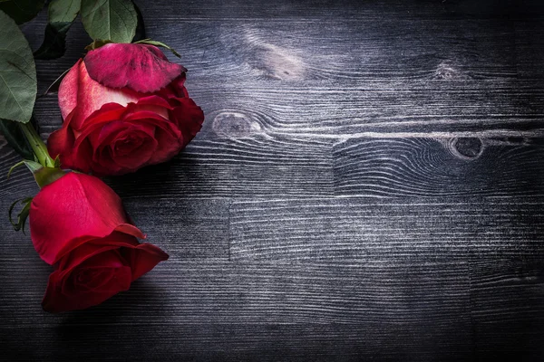 Two red roses — Stock Photo, Image