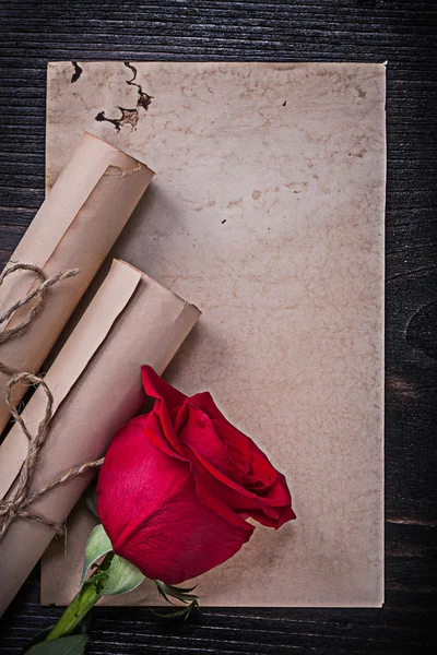 Dos rollos de papel y capullo de rosa —  Fotos de Stock