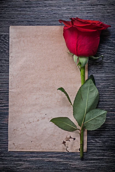 Sheet of paper, red  rosebud — Stock Photo, Image