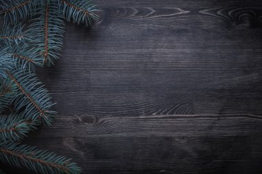 Noel tatili köknar ağacı dalları