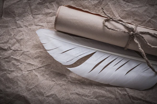 Rollo de papel medieval y pluma —  Fotos de Stock