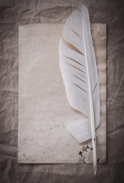 Hoja en blanco vintage y pluma — Foto de Stock