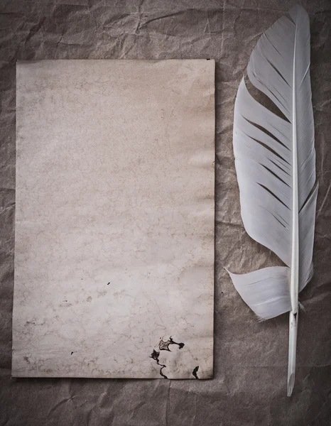 Vintage blank sheet and feather — Stock Photo, Image