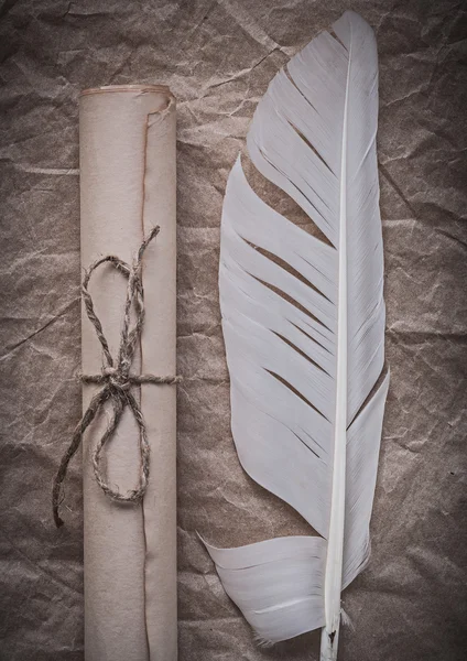 Medieval paper scroll and quill — Stock Photo, Image