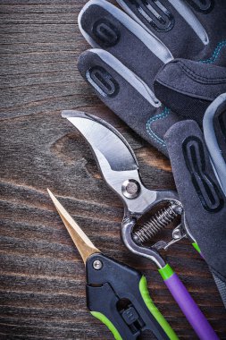 Koruyucu eldiven, tıraş ve secateurs çalışma