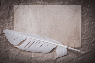 Vintage levha ve tüy