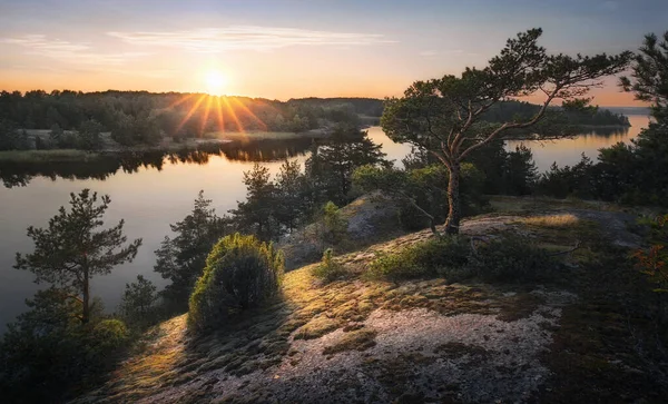 북유럽의 자연을 아름다운 북유럽의 바위에 소나무 발트해 핀란드 비보르만 — 스톡 사진