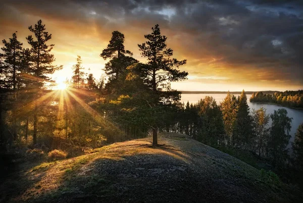 Gyönyörű Naplemente Napsugarak Tiszta Északi Természet Fenyőfa Sziklák Észak Európában — Stock Fotó