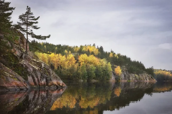 森を持つ花崗岩の岩は 北ヨーロッパ バルト海 フィンランド湾の海岸線や島です 秋の清らかな北欧の自然 — ストック写真