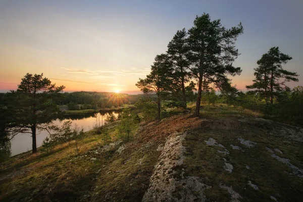 Beautiful Sunset Rays Sun Clean Nordic Nature Pine Trees Rock — Stock Photo, Image