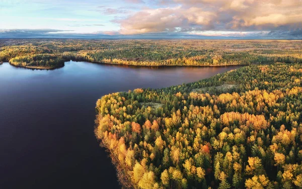 Podzim Vyborgském Zálivu Letecký Pohled Čistou Nordickou Přírodu Krásné Skály — Stock fotografie