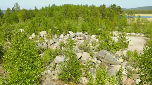 Paisaje del norte con pinos y rocas. Rusia — Vídeos de Stock