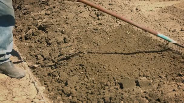 Nivelando el suelo con un rastrillo. Trabajo en una pequeña granja — Vídeo de stock