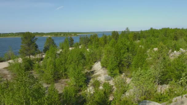 Noordelijke landschap met pijnbomen en Niva rivier. Rusland — Stockvideo