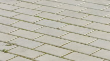 Kaldırım süpürme. Süpürge yakın çekim