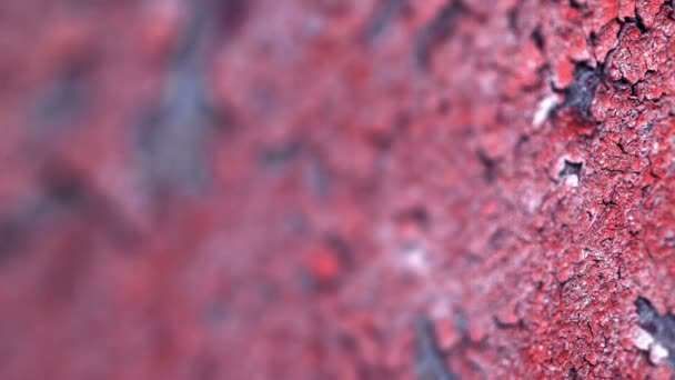 Peeling paint on an old concrete wall of the destroyed building. Shallow depth of field — Stock Video