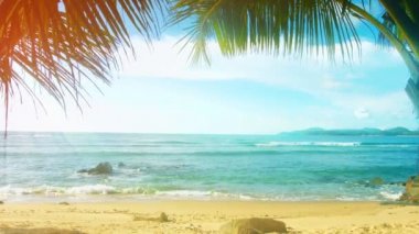 Tayland. Phuket Adası. İnsanlar olmadan palmiye ağaçları ile güneşli plaj