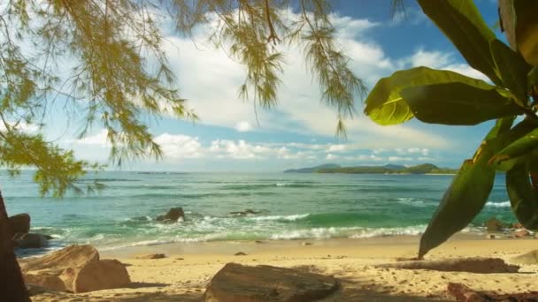Plantas en la orilla de un mar tropical. Hermoso paisaje exótico. Isla Phuket. Tailandia — Vídeos de Stock