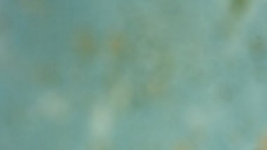 Nem binanın iç duvar eski hasarlı