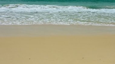 Tropikal bir kumsalda sörf