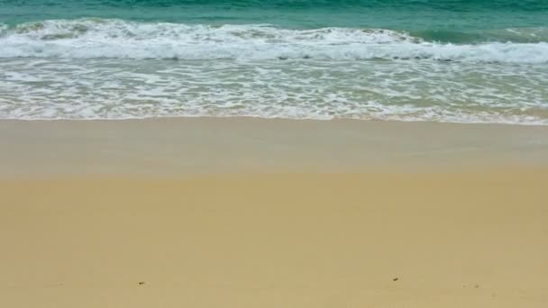 Surfe em uma praia tropical arenosa — Vídeo de Stock