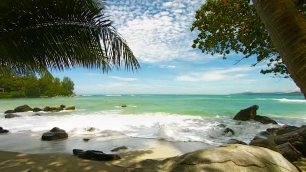 Rivage d'une plage tropicale avec des palmiers. Panorama vertical — Video