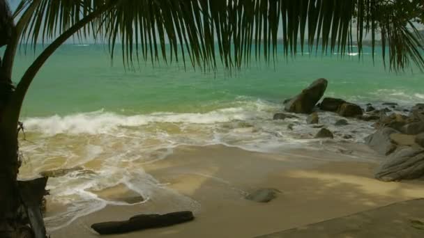 Dzika plaża bez ludzi. Tajlandia. Phuket Island — Wideo stockowe