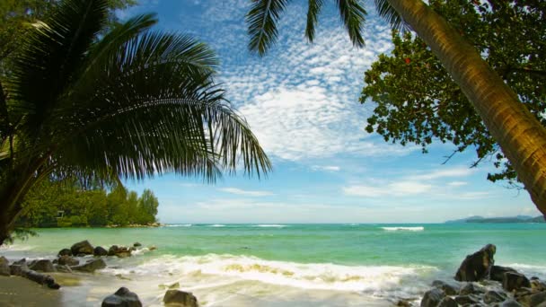 La orilla de una playa tropical con palmeras — Vídeos de Stock