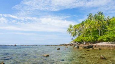 Sığlık boyunca vahşi Tropical Beach Tayland gölet ve göllerde adam