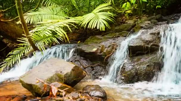 Тайский водопад с камнями и скалами — стоковое видео