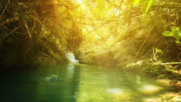 Beautiful. Stream Fed Jungle Pond in Southern Thailand — Stock Video