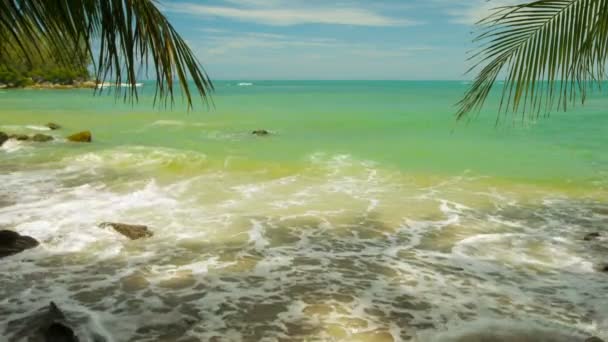 サーフィン。ビーチ。ヤシの木とその影。タイ。プーケット島 — ストック動画