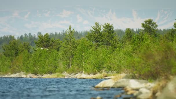 Shore of large northern lake with mountains in the background. Russia. Imandra — Stock Video