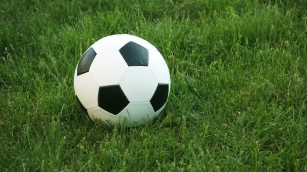 Primo piano di un calcio che riposa nell'erba — Video Stock