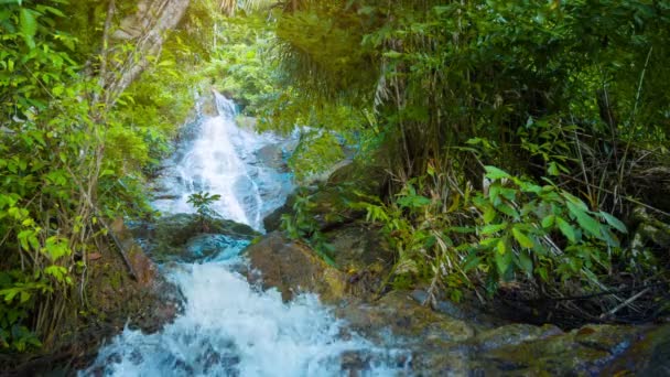 Каскад белых вод над природным водопадом в Таиланде — стоковое видео