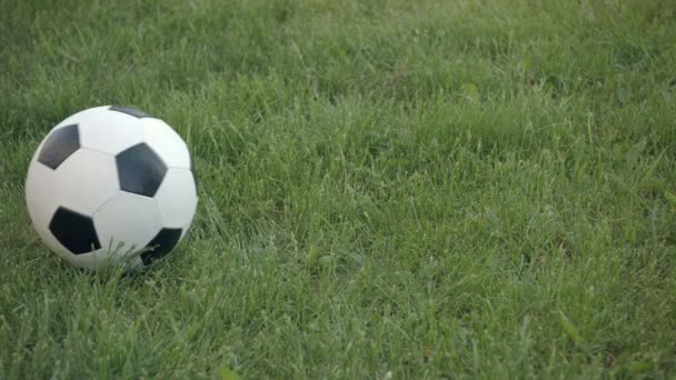 Nahaufnahme des Fußballs, der auf dem Rasen in den Rahmen rollt — Stockvideo
