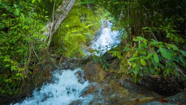 Pequena cachoeira correndo para baixo rochas — Vídeo de Stock