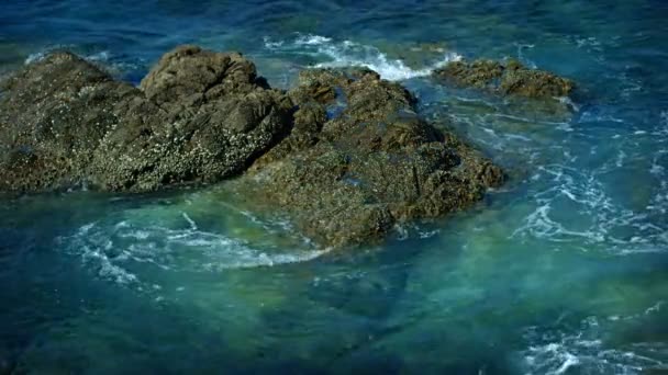 Rocas en la costa del mar tropical — Vídeos de Stock