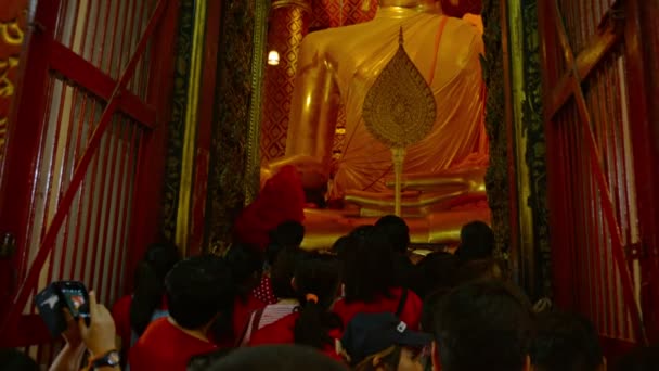Ayutthaya. Thailand-circa feb 2015: turister trycker in för att se enorma. Förgylld staty av Buddha på Wat Phanan Choeng inuti Ayutthaya Historical Park i Thailand. — Stockvideo