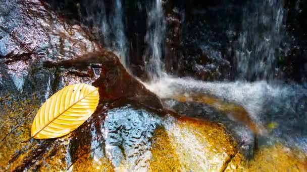 Nahaufnahme eines sanften Wasserfalls mit Klang — Stockvideo