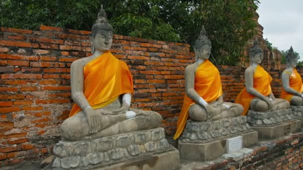 Fila de estatuas de Buda. Vestido de amarillo en Wat Yai Chai Mongkhon en Ayutthaya. Tailandia — Vídeo de stock