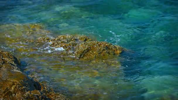Tropical Ocean Water Lapping doucement à un rocher de Barnacle-Encrusted en Thaïlande 