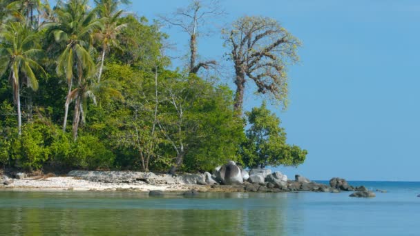 Verlaten. Rocky. Natuurlijke. Tropisch strand met natuurlijke bomen en vegetatie — Stockvideo