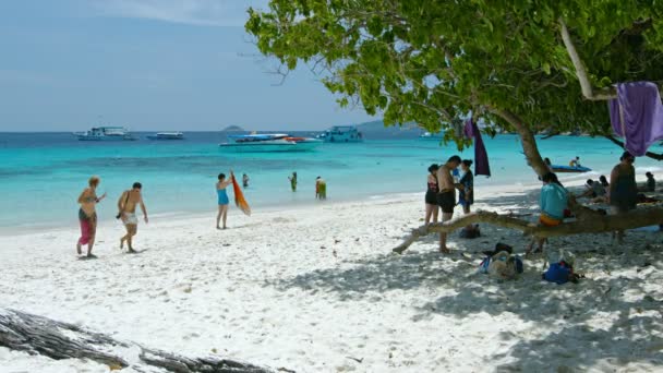 Туристы в поисках тени под деревом на тропическом пляже в Таиланде — стоковое видео