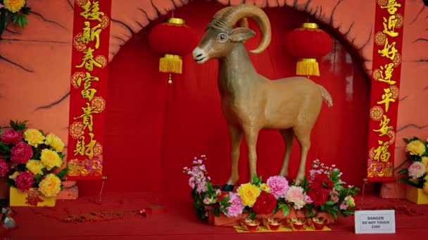 Um tiro lento de uma estátua de cabra. do zodíaco chinês. exibido como uma decoração de Ano Novo Chinês . — Vídeo de Stock